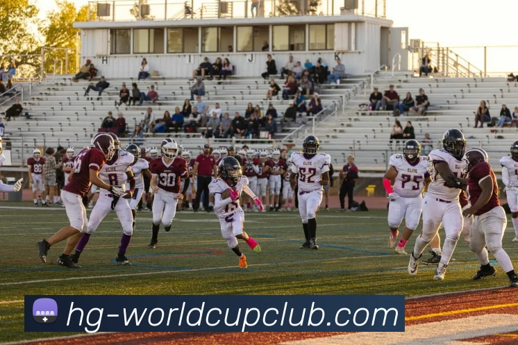 世俱杯官方网站平台生态图